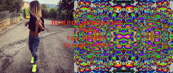 мяу мяу кристалл Верея