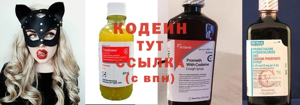 прущие грибы Волоколамск