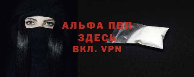 прущие грибы Волоколамск