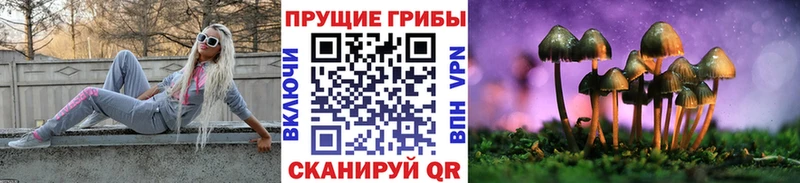 Псилоцибиновые грибы прущие грибы  Великий Новгород 